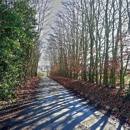 La Grange De David De Standing 5 Ch 5 Sdb - Access-i *