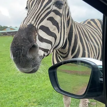 La Grange De David De Standing 5 Ch 5 Sdb - Access-i Hamoir