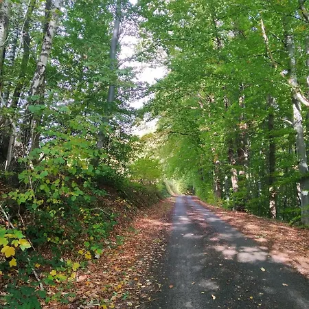 La Grange De David De Standing 5 Ch 5 Sdb - Access-i *