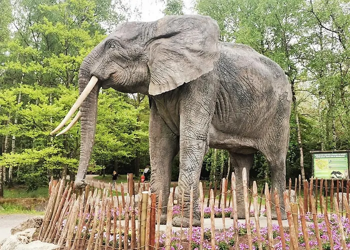 Vakantiehuis La Grange De David De Groupe Access-i Hamoir